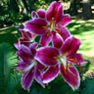 Meet your Posher, Meg